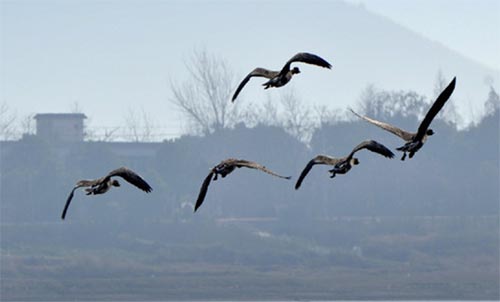 ���c�B��һ���w�衷�x���600��