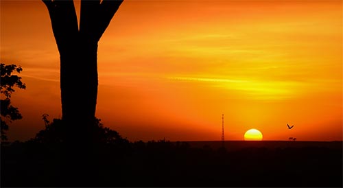 �K�Y�ľ���ߵ�