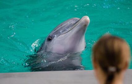 ǰ����ʲô��