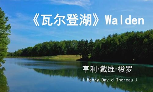 ���ߠ��Ǻ����x������1000��