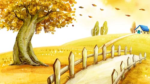 �ҡ����ᡤ�C