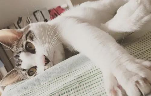 �o�ĵ�һ��