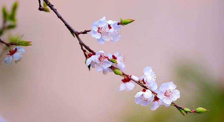 �p���I��