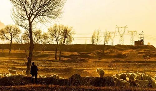 ��ƽ�������硷�x���800�ֳ�һ