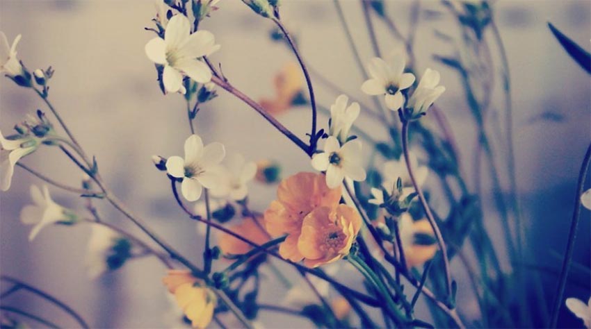 �¹��µ�Մ��