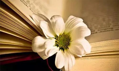 �Gɫ���R��