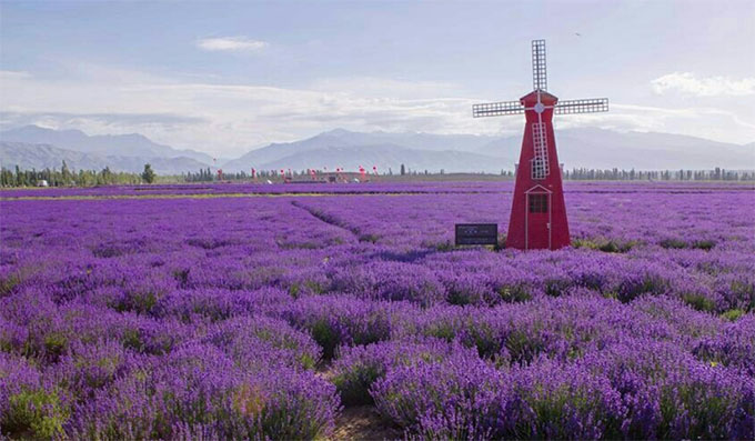 ���������S��Ҳ����Ҋ����