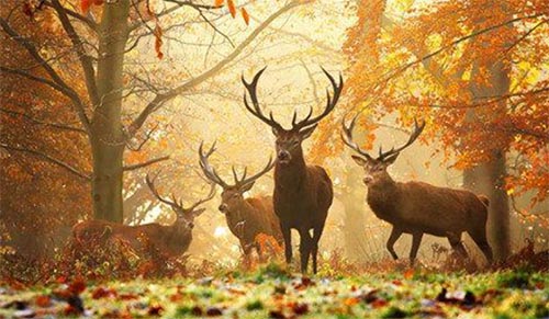 ���f(w��n)�����`�������x���Pӛ800��