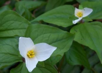 ��ɽ����ˮ���ǘ�