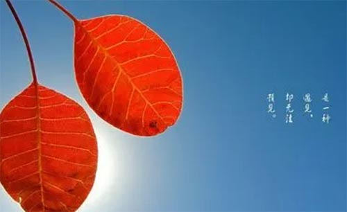 �Ơ�����